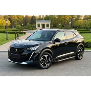 Seitenschweller RedLine (2 Stk., Aluminium) Foto 1