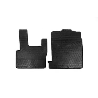 Gummimatten (2 Stk, Stingray Premium) DAF XF105 2005-2013 Foto 1