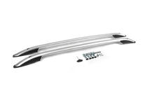 Citroen C5 Aircross 2017-2025 Dachreling Skyport (silber) Foto 3