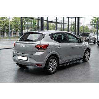 Trittbretter Bosphorus Grey (2 Stk., Aluminium) Dacia Sandero 2021- Foto 1