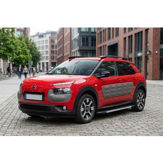 Seitenschweller RedLine (2 Stk., Aluminium) Foto 1
