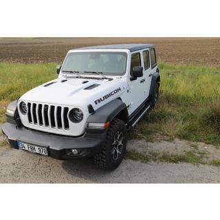 Seitenschweller RedLine (2 Stk., Aluminium) Foto 1