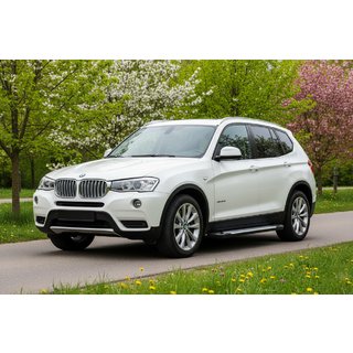 Trittbretter Allmond Grey (2 Stk., Aluminium) BMW X3 F25 2011-2018 Foto 1