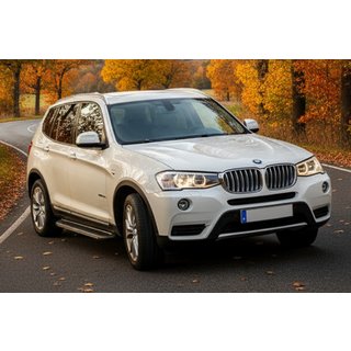 Seitenschweller Bosphore Grey (2 Stk., Aluminium) BMW X3 F25 2011-2018 Foto 1