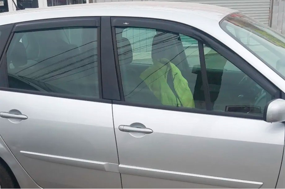 Renault Scenic/Grand 2003-2009 Windabweiser (4 Stk, HIC) Image