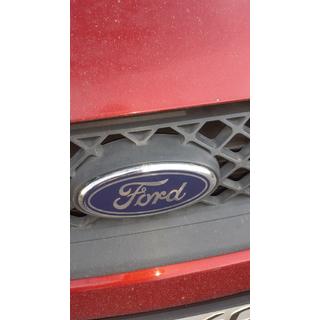 Frontemblem (mit Clips) Ford Fiesta 2002-2008 Foto 4