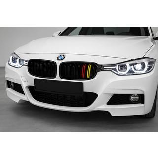 Nieren M-Look (German Color) BMW 3 Series F30/F31 2012-2019 Foto 1