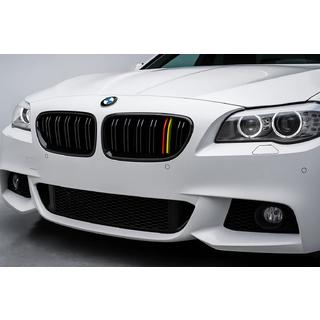 Nieren M-Look (German Color) BMW 5 Series F10/F11 2010–2016 Foto 1