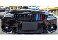 BMW 5 Series F10/F11 2010–2016 Nieren M-Look (M-Color) Foto 3