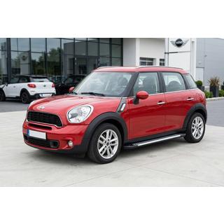 Seitenschweller Line (2 Stk., Aluminium) Mini Countryman R60 2010-2017 Foto 1