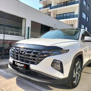 Motorhaubenschutz (EuroCap) Hyundai Tucson NX4 2021- Foto 1