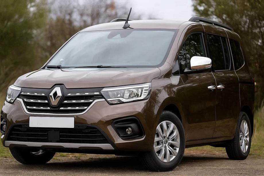 Renault Kangoo/Express 2021- Chrom Türgriffblenden (4 Stk., Edelstahl) Image